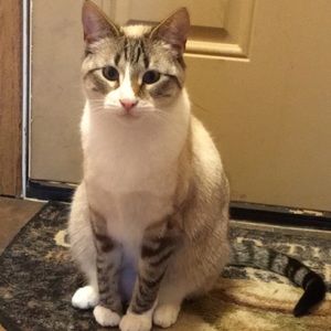 Meet your Posher, Allie